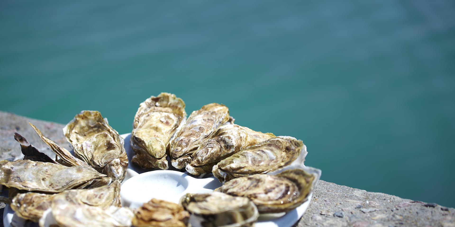 Huîtres à Cancale